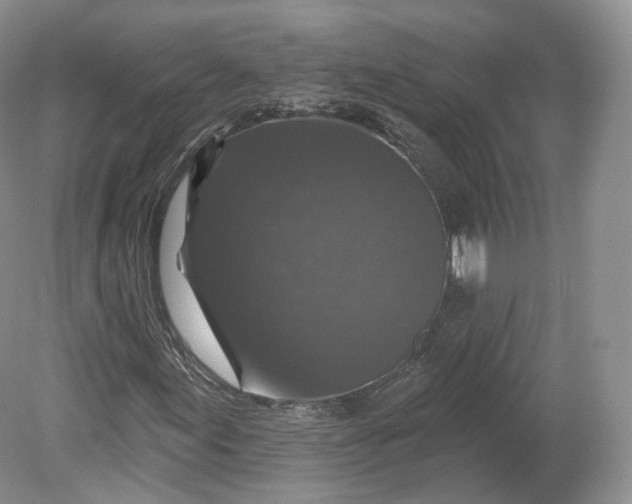 X0000078871155200611271253