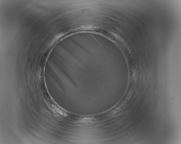 X0000078871161200611271253