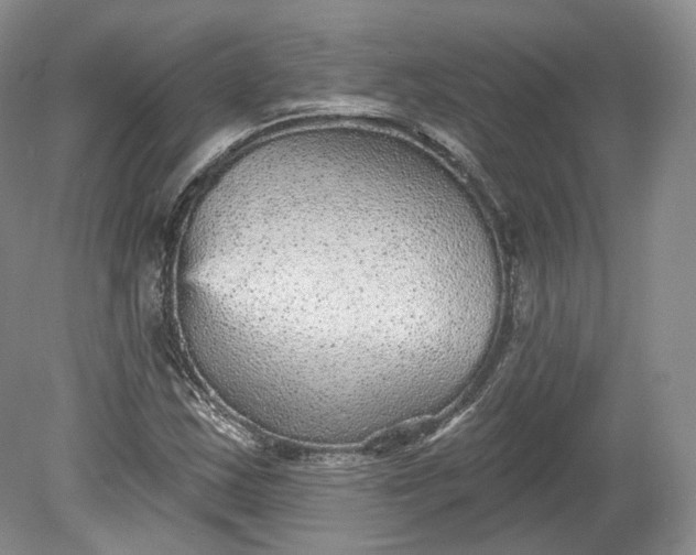 X0000078871163200611271253