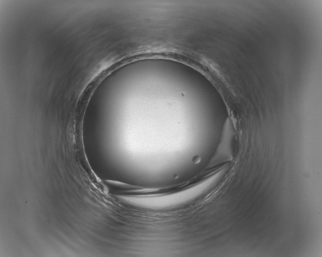 X0000078871165200611271253