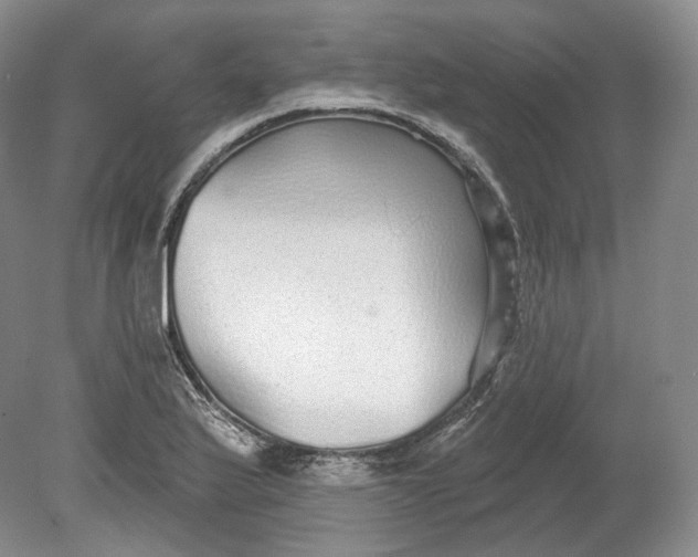 X0000078871175200611271253