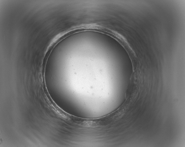 X0000078871176200611271253