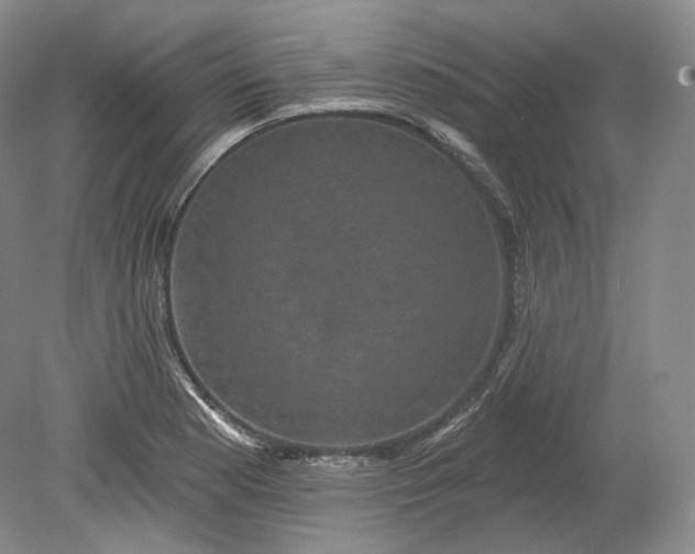 X0000078871177200611271253