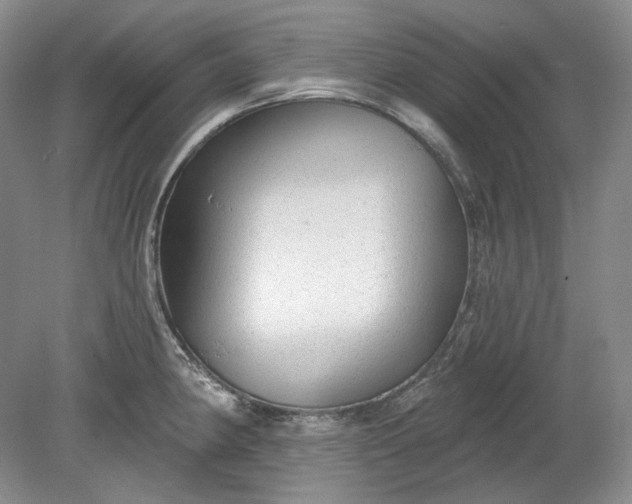 X0000078871190200611271253