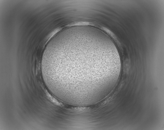 X0000078871193200611271253
