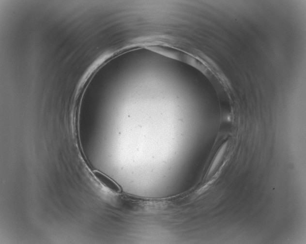 X0000078871196200611271253