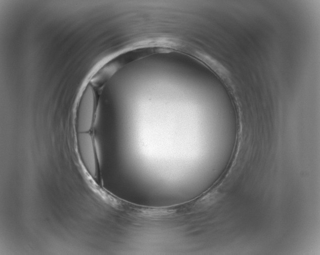 X0000078871200200611271253
