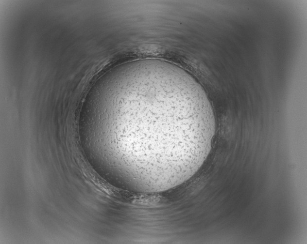 X0000078871201200611271252
