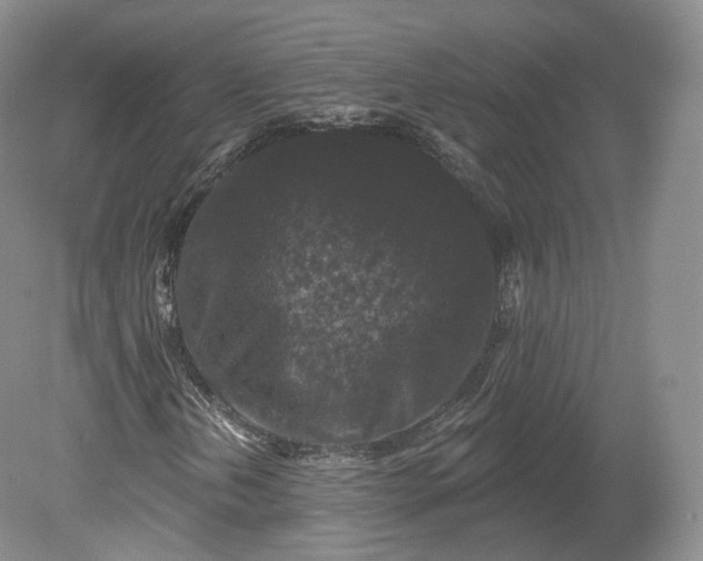 X0000078871202200611271252
