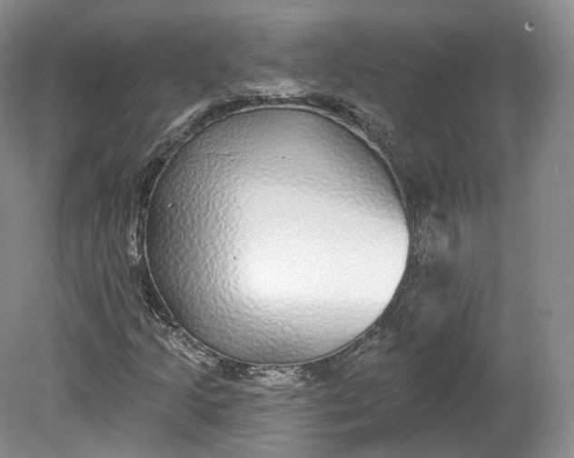 X0000078871205200611271252