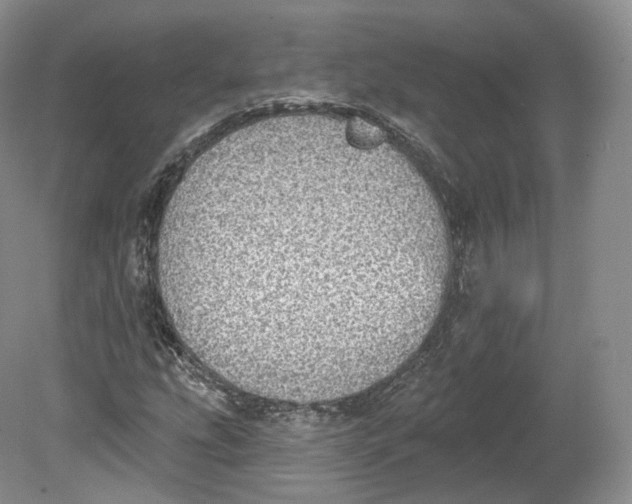 X0000078871207200611271252