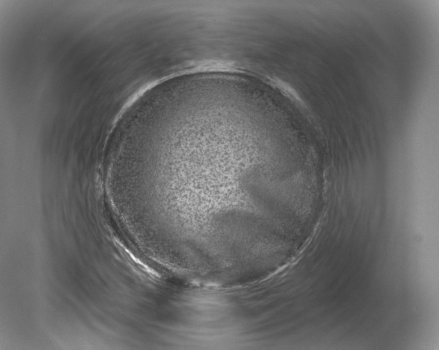 X0000078871212200611271252