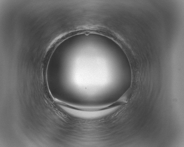 X0000078871214200611271252