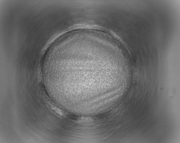 X0000078871215200611271252