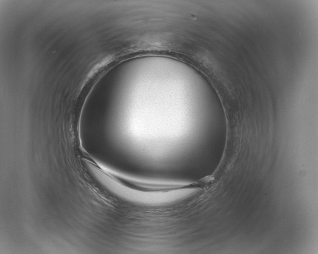 X0000078871218200611271252