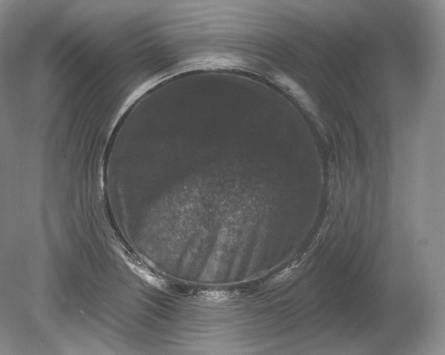 X0000078871226200611271252