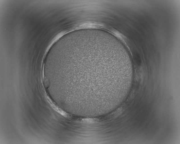 X0000078871227200611271252
