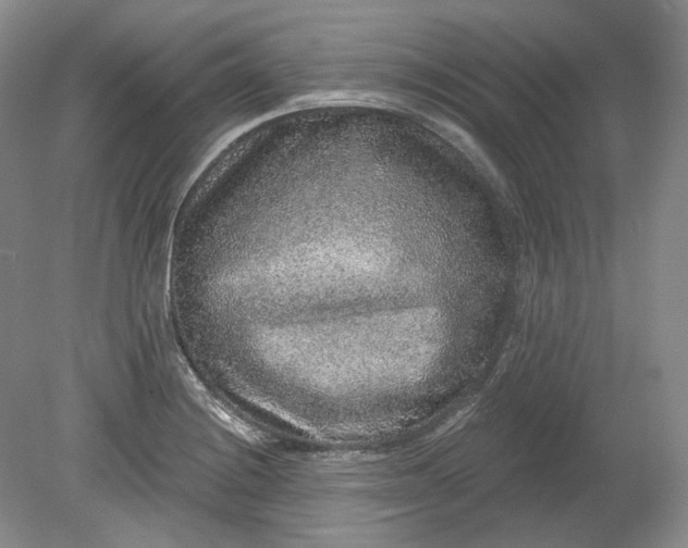 X0000078871228200611271252