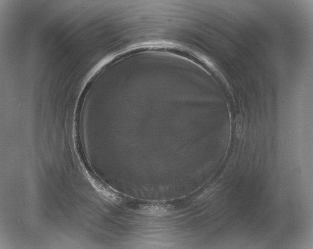 X0000078871229200611271252