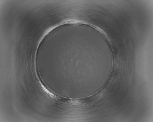 X0000078871231200611271252