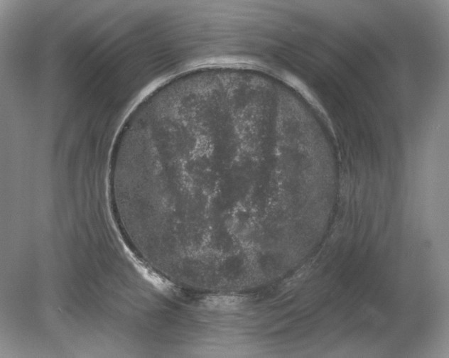 X0000078871237200611271252
