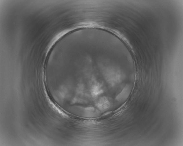 X0000078871239200611271252
