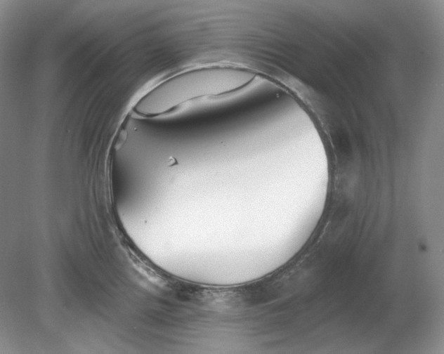 X0000078871242200611271252
