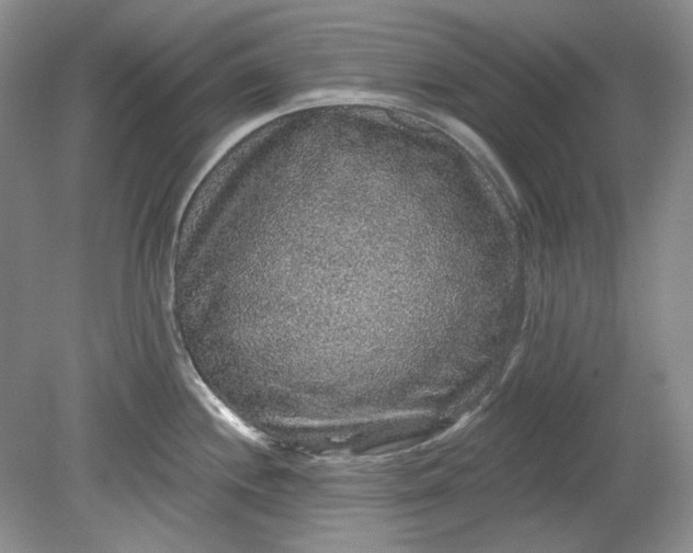 X0000078871244200611271252