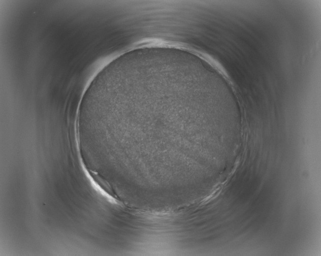 X0000078871247200611271253