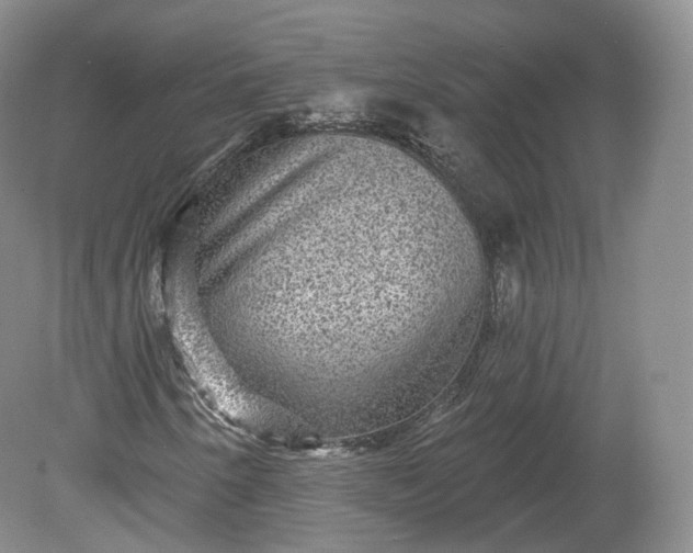 X0000078871250200611271252