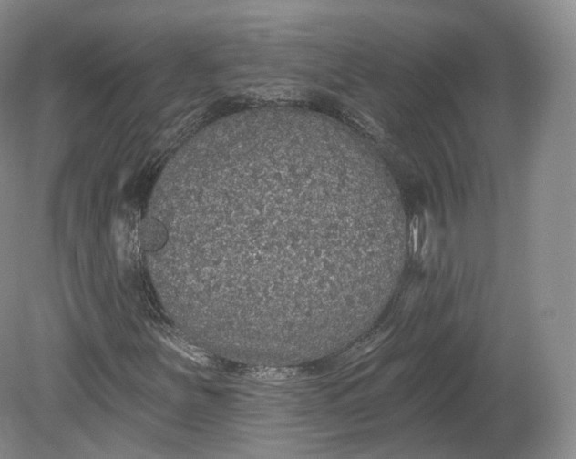 X0000078871251200611271252