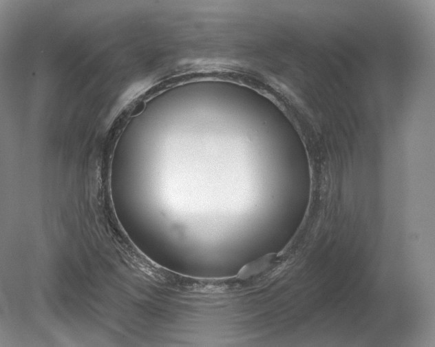 X0000078871261200611271252