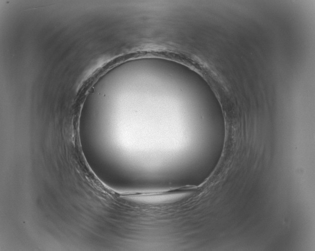 X0000078871262200611271252
