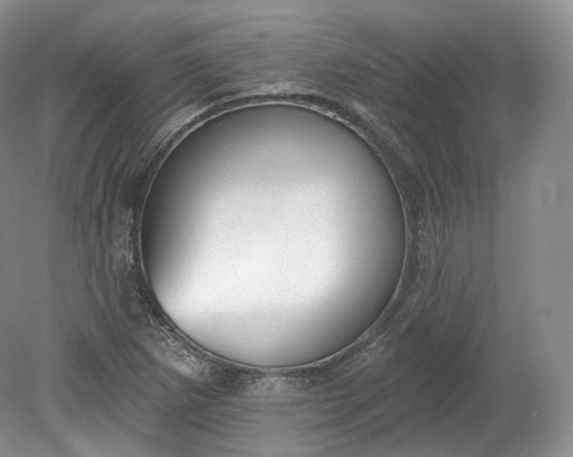 X0000078871265200611271251