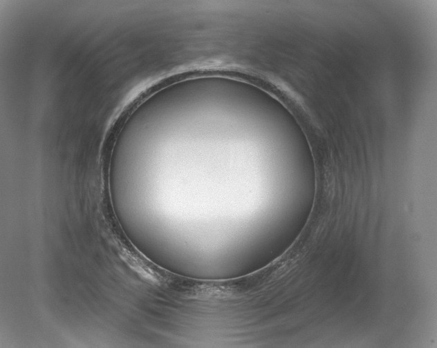 X0000078871270200611271251