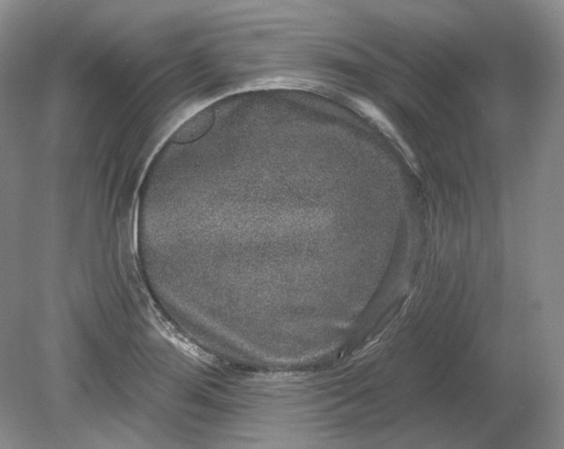 X0000078871276200611271251