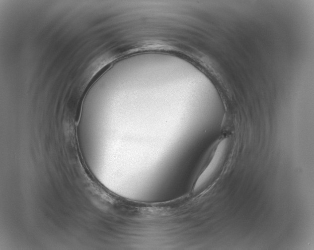 X0000078871281200611271251