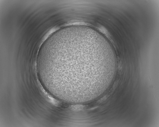 X0000078871282200611271251