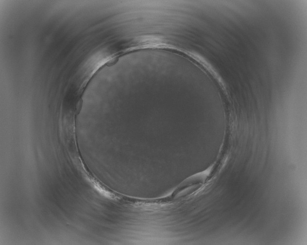 X0000078871289200611271251