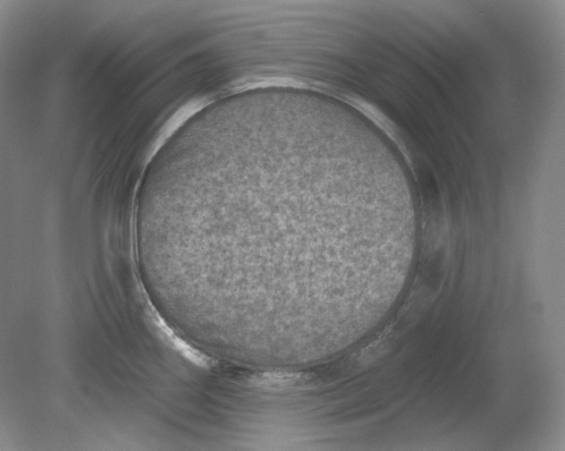 X0000078871290200611271251