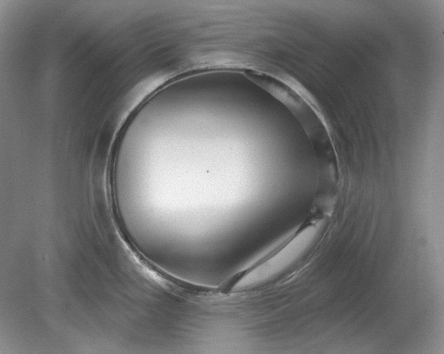 X0000078871293200611271251