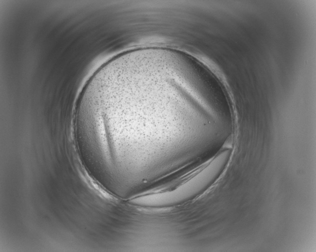 X0000078871296200611271251