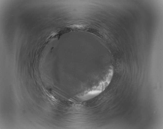 X0000078871297200611271250