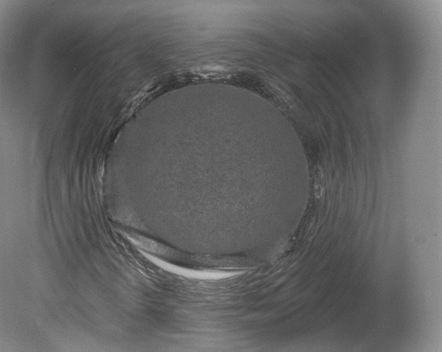X0000078871298200611271250
