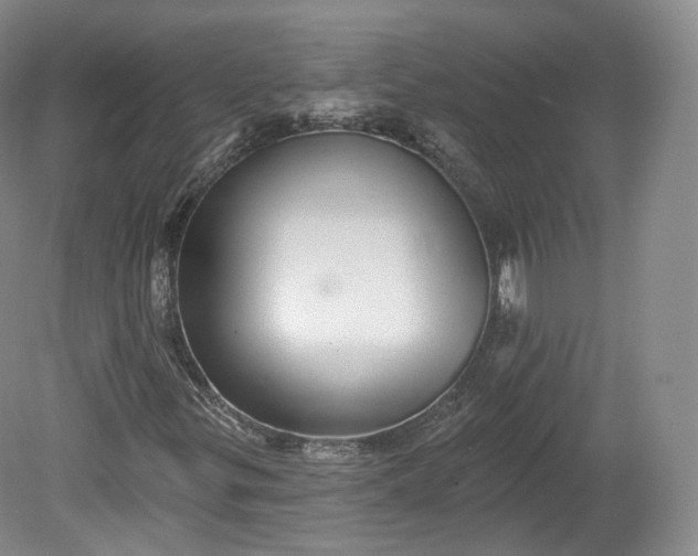X0000078871299200611271250