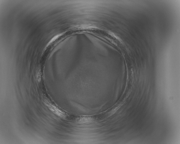 X0000078871306200611271250