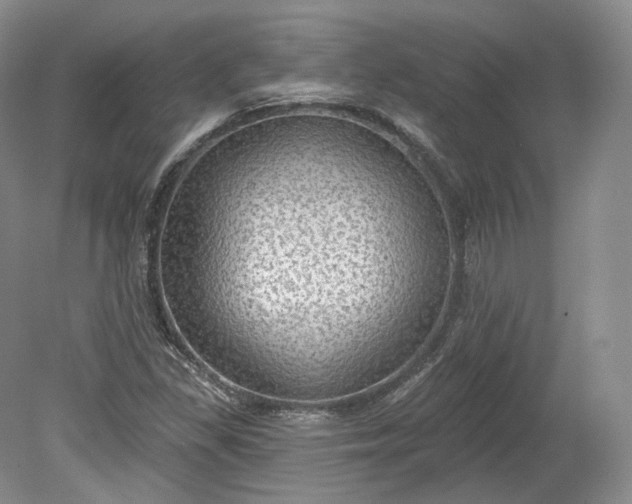 X0000078871309200611271250