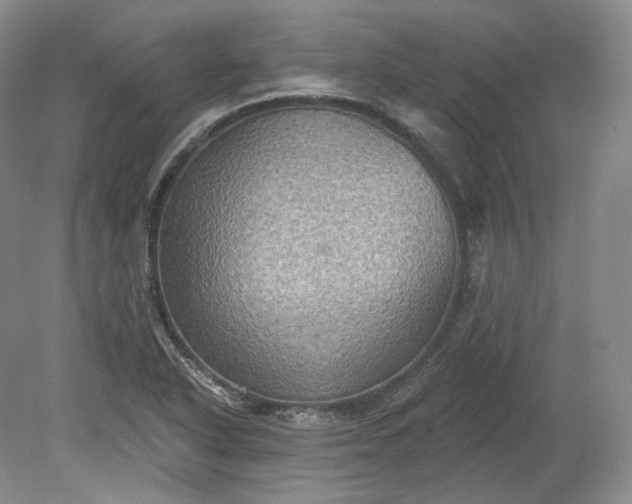 X0000078871318200611271251