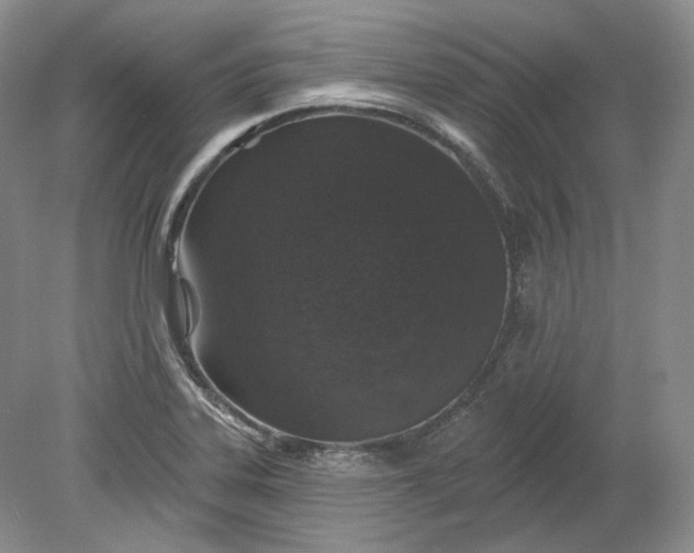 X0000078871323200611271251
