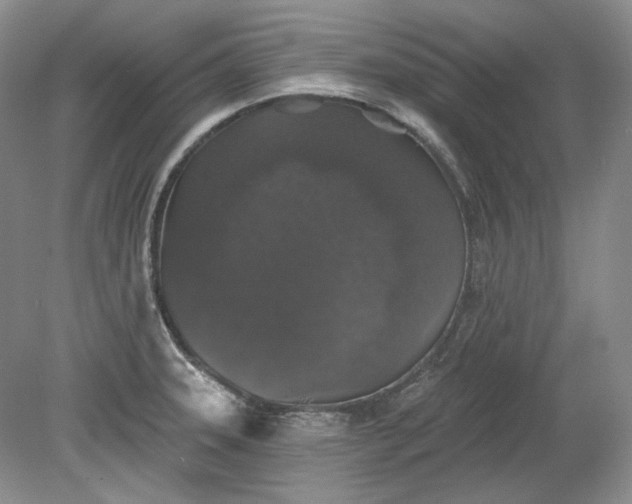 X0000078871331200611271251